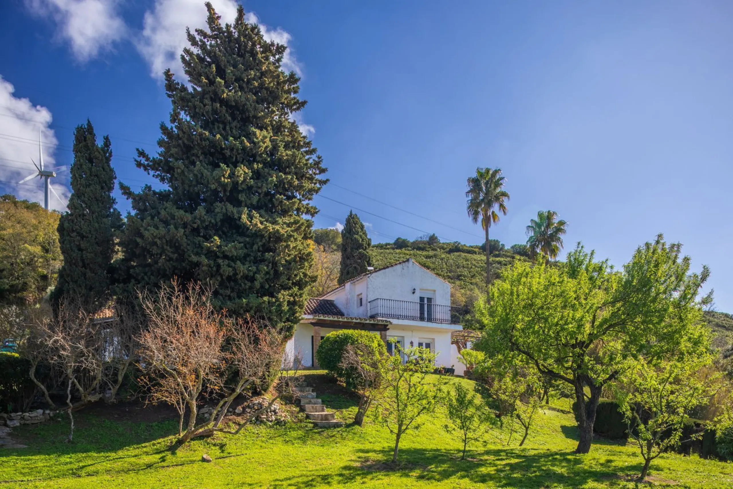 Commercial - Hotel в продаже в Casares, Málaga. В доме 8 спален и 6 ванных комнат. Площадь дома 559 м². Площадь участка 60000 м²