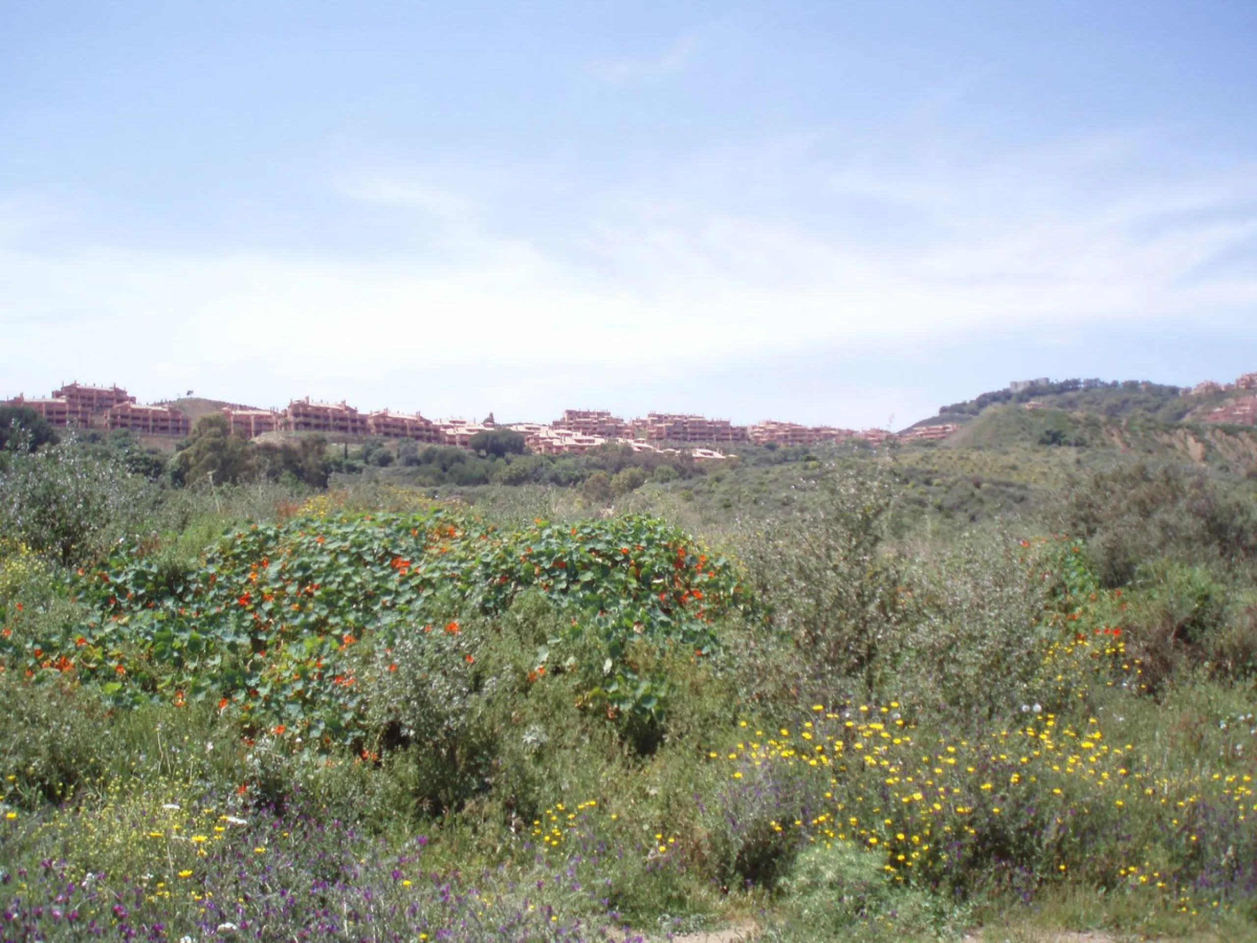 Fantastic finca in Mijas, just next to the Urbanisation El soto de Marbella. It is a rustic land with gentle slopes and fantastic views to the coast and the mountains ideal for any type of crops or animal husbandry. It has 2 houses which can be reformed a