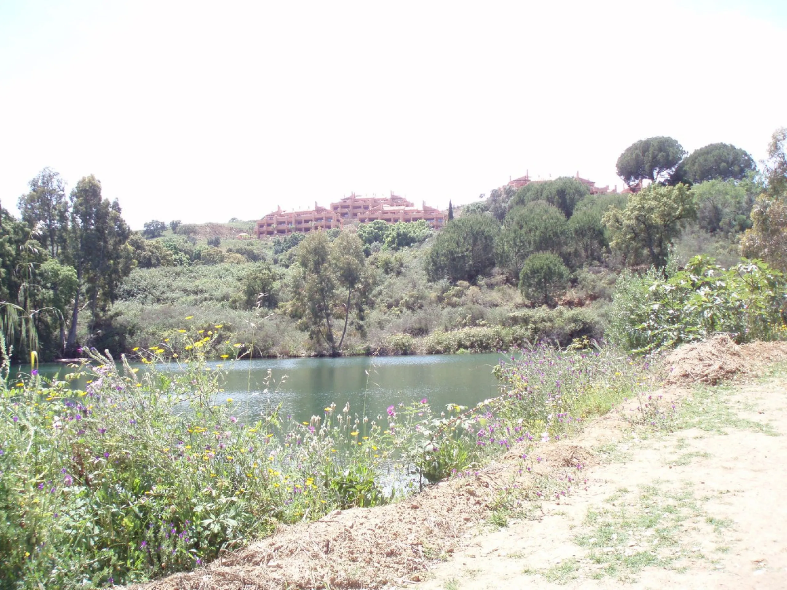 Fantastic finca in Mijas, just next to the Urbanisation El soto de Marbella. It is a rustic land with gentle slopes and fantastic views to the coast and the mountains ideal for any type of crops or animal husbandry. It has 2 houses which can be reformed a
