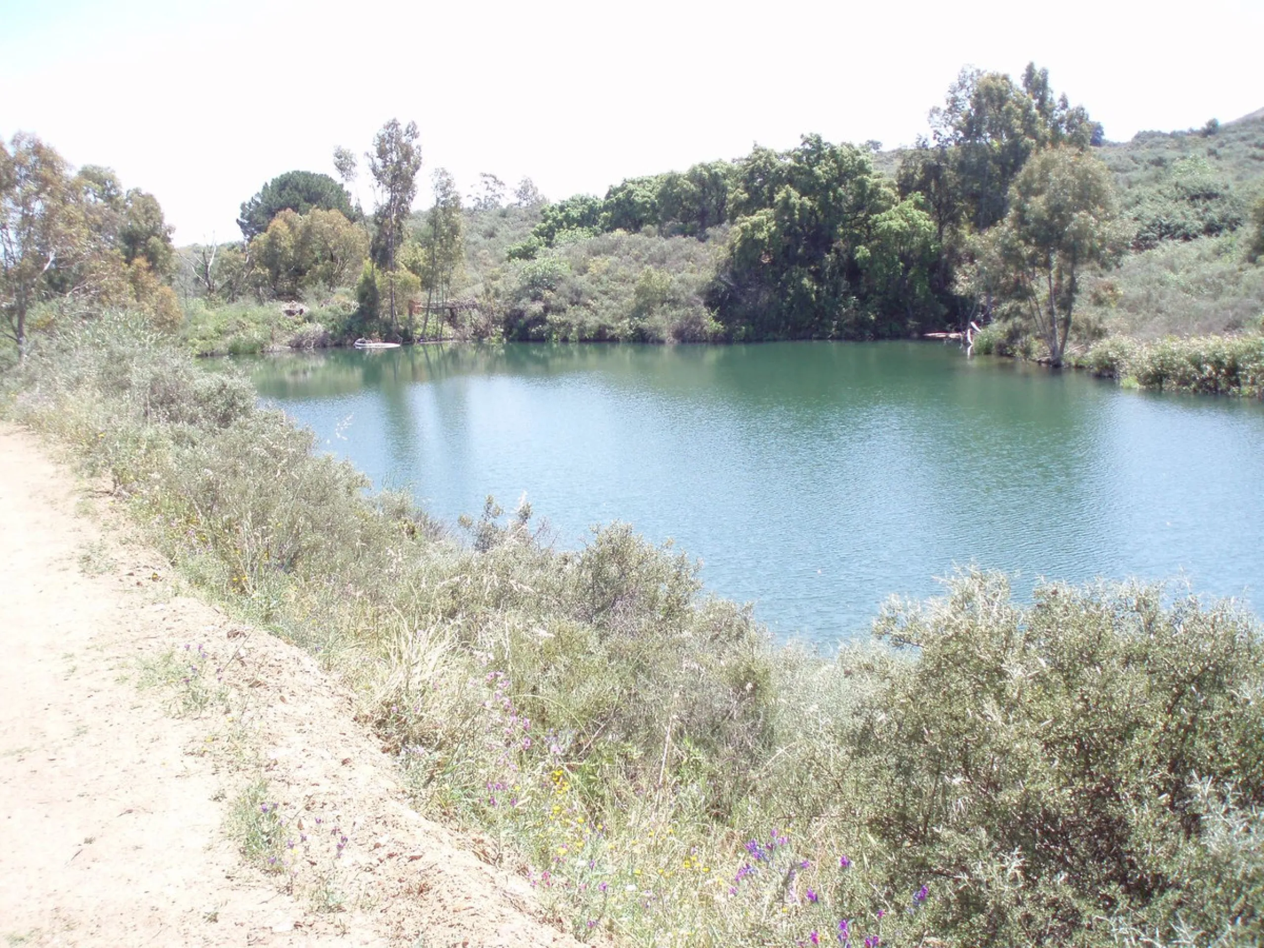 Fantastic finca in Mijas, just next to the Urbanisation El soto de Marbella. It is a rustic land with gentle slopes and fantastic views to the coast and the mountains ideal for any type of crops or animal husbandry. It has 2 houses which can be reformed a
