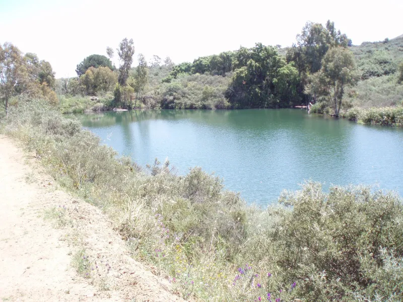 Fantastic finca in Mijas, just next to the Urbanisation El soto de Marbella. It is a rustic land with gentle slopes and fantastic views to the coast and the mountains ideal for any type of crops or animal husbandry. It has 2 houses which can be reformed a