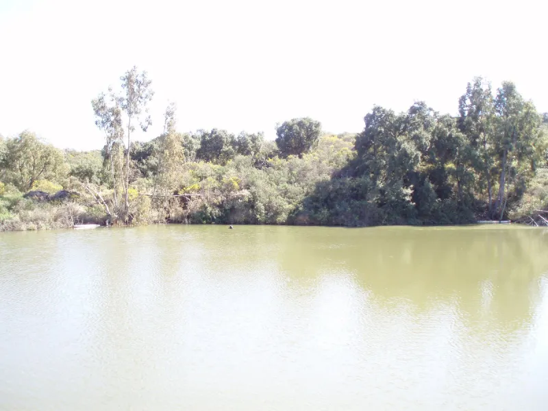 Fantastic finca in Mijas, just next to the Urbanisation El soto de Marbella. It is a rustic land with gentle slopes and fantastic views to the coast and the mountains ideal for any type of crops or animal husbandry. It has 2 houses which can be reformed a