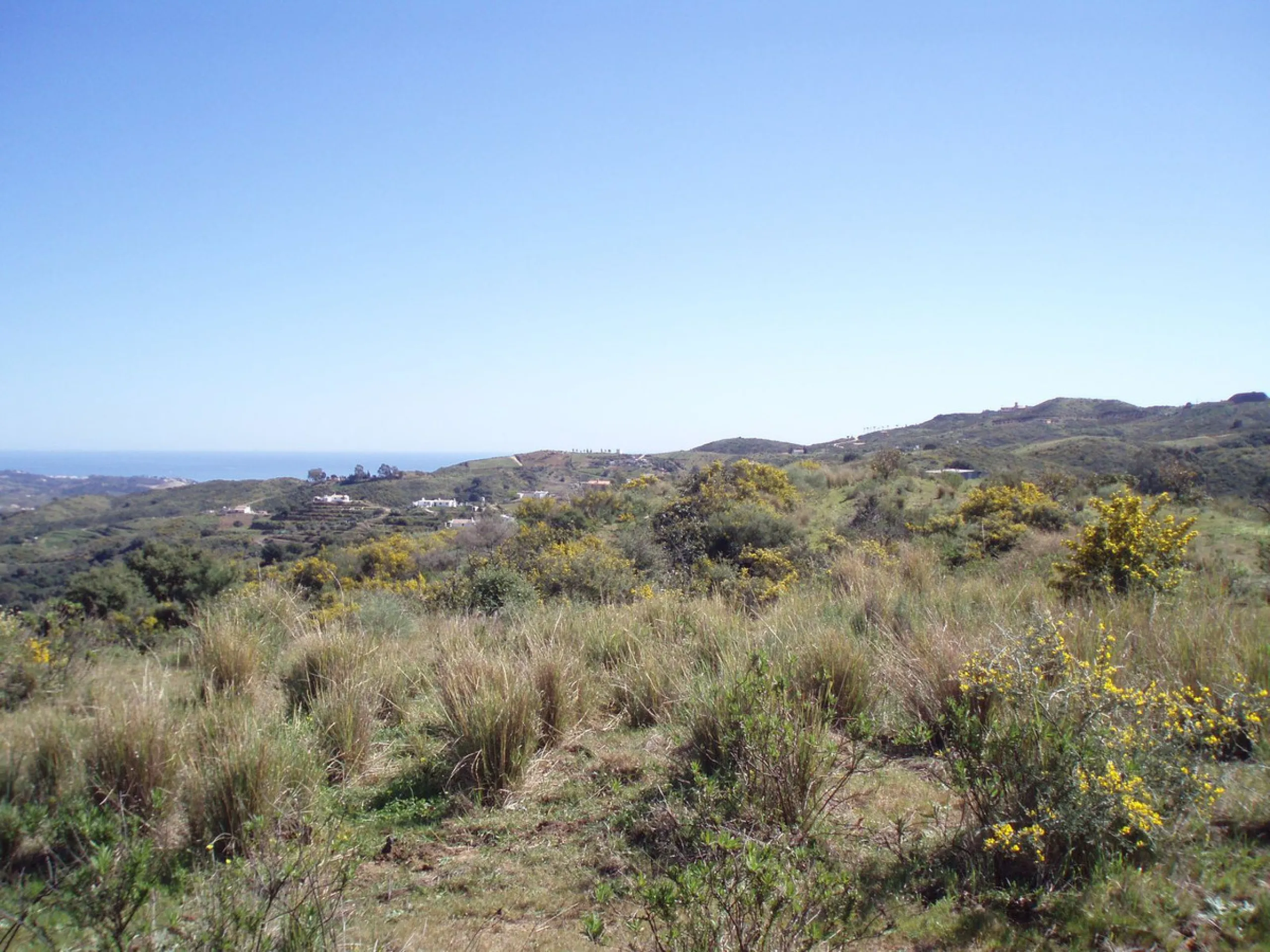 Fantastic finca in Mijas, just next to the Urbanisation El soto de Marbella. It is a rustic land with gentle slopes and fantastic views to the coast and the mountains ideal for any type of crops or animal husbandry. It has 2 houses which can be reformed a