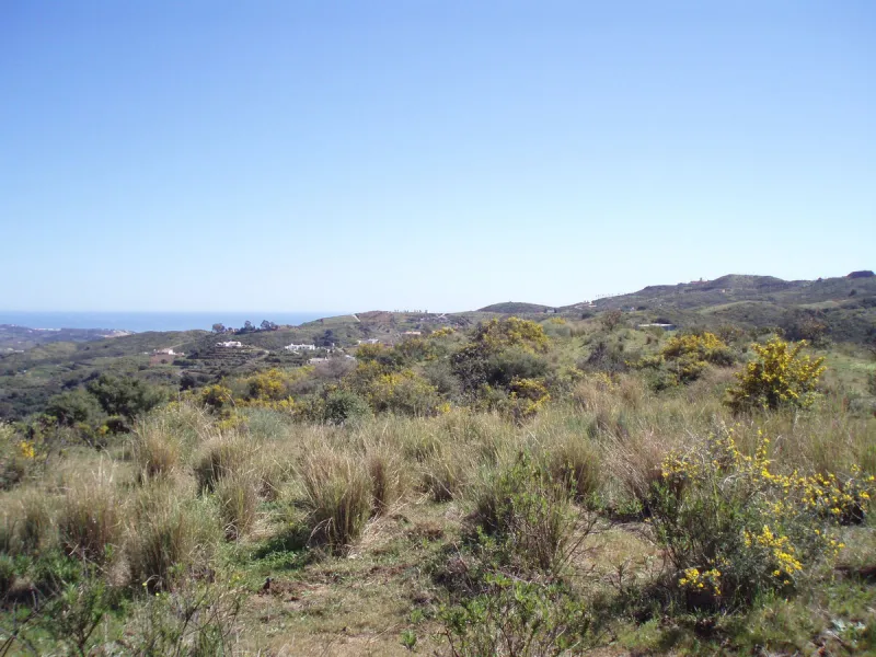 Fantastic finca in Mijas, just next to the Urbanisation El soto de Marbella. It is a rustic land with gentle slopes and fantastic views to the coast and the mountains ideal for any type of crops or animal husbandry. It has 2 houses which can be reformed a