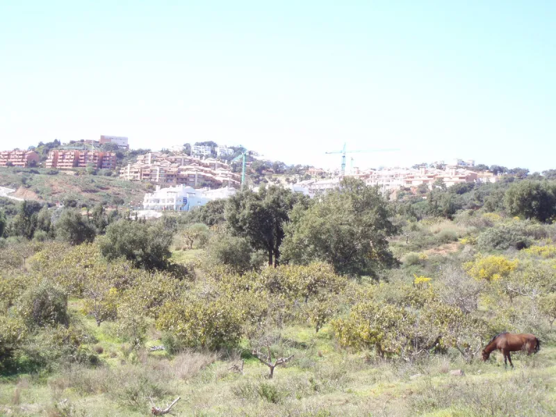 Fantastic finca in Mijas, just next to the Urbanisation El soto de Marbella. It is a rustic land with gentle slopes and fantastic views to the coast and the mountains ideal for any type of crops or animal husbandry. It has 2 houses which can be reformed a