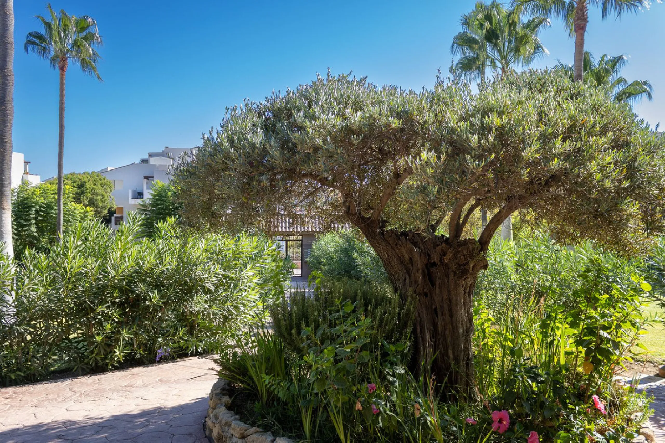 Beautiful 2-Bedroom Ground Floor Apartment – La Cala de Mijas