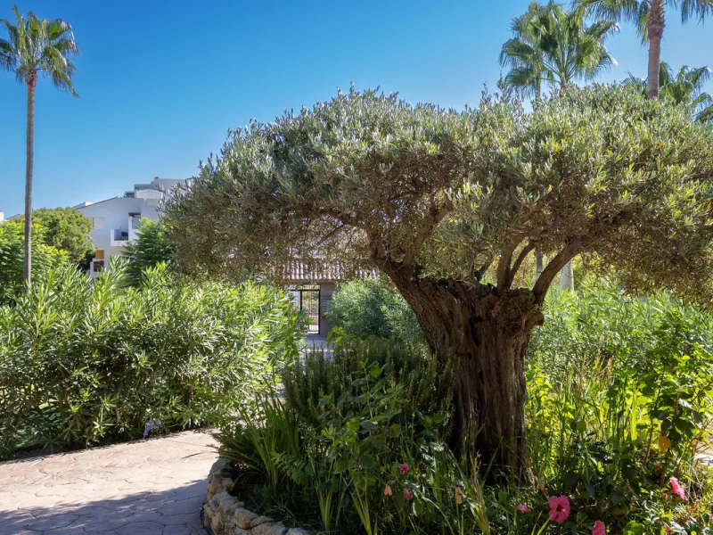 Beautiful 2-Bedroom Ground Floor Apartment – La Cala de Mijas