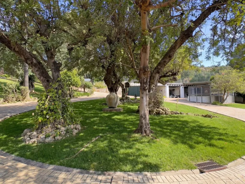 MODERN VILLA BARRANCO BLANCO: AN EXCLUSIVE OASIS OF LUXURY 20 MINUTES FROM THE MEDITERRANEAN SEA