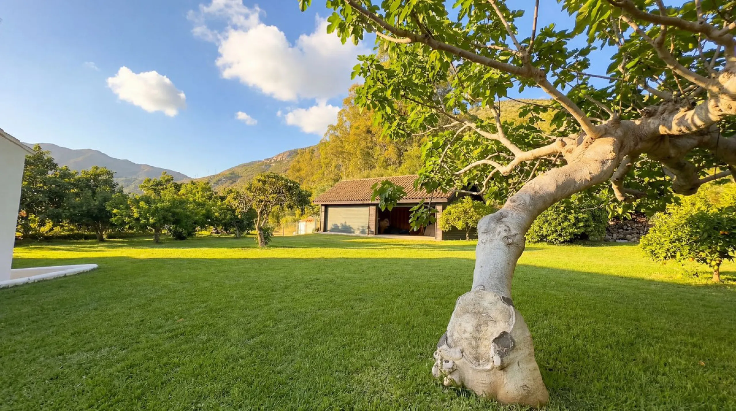 MODERN VILLA BARRANCO BLANCO: AN EXCLUSIVE OASIS OF LUXURY 20 MINUTES FROM THE MEDITERRANEAN SEA
