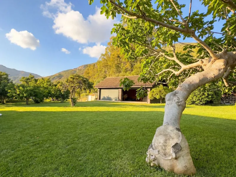 MODERN VILLA BARRANCO BLANCO: AN EXCLUSIVE OASIS OF LUXURY 20 MINUTES FROM THE MEDITERRANEAN SEA