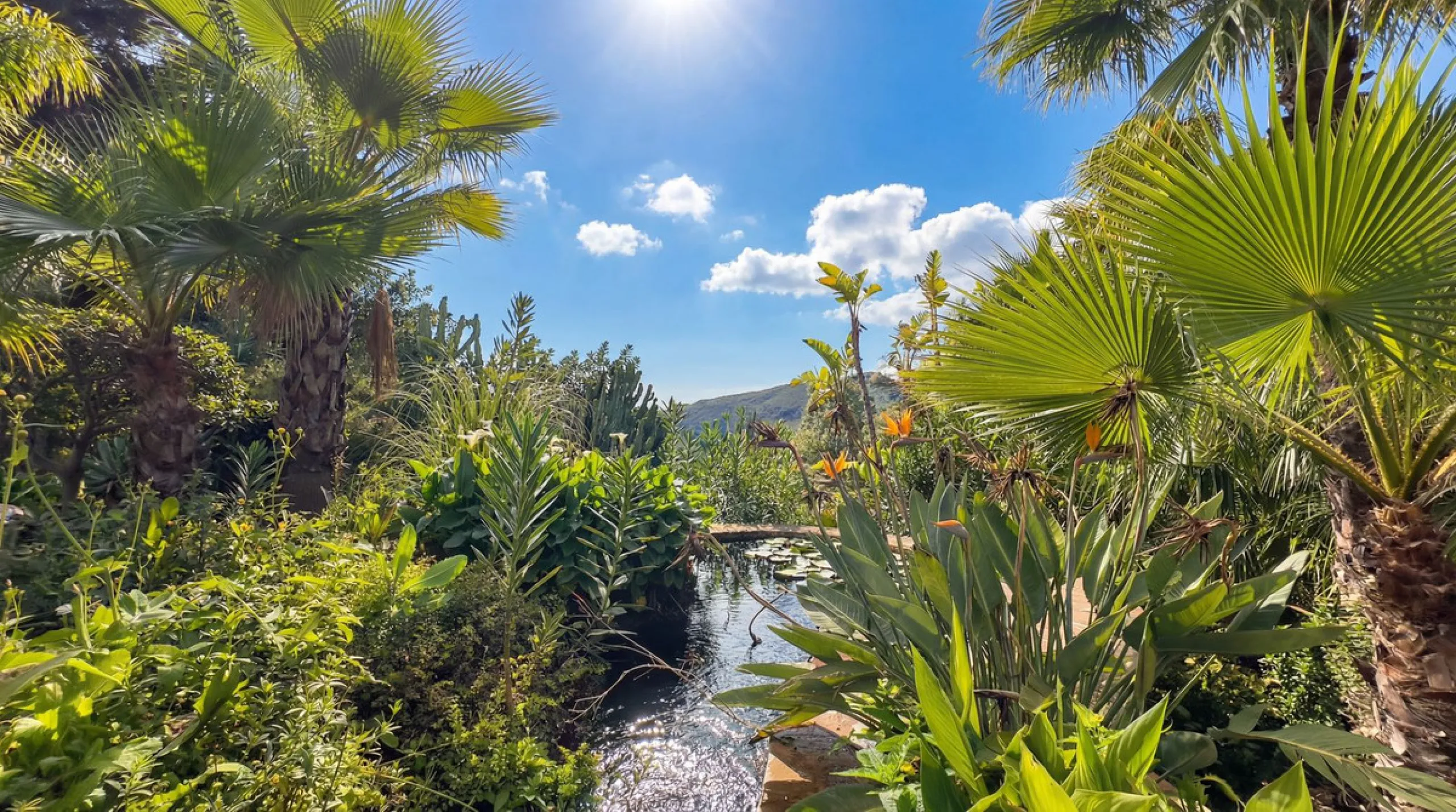 MODERN VILLA BARRANCO BLANCO: AN EXCLUSIVE OASIS OF LUXURY 20 MINUTES FROM THE MEDITERRANEAN SEA