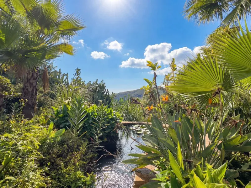 MODERN VILLA BARRANCO BLANCO: AN EXCLUSIVE OASIS OF LUXURY 20 MINUTES FROM THE MEDITERRANEAN SEA