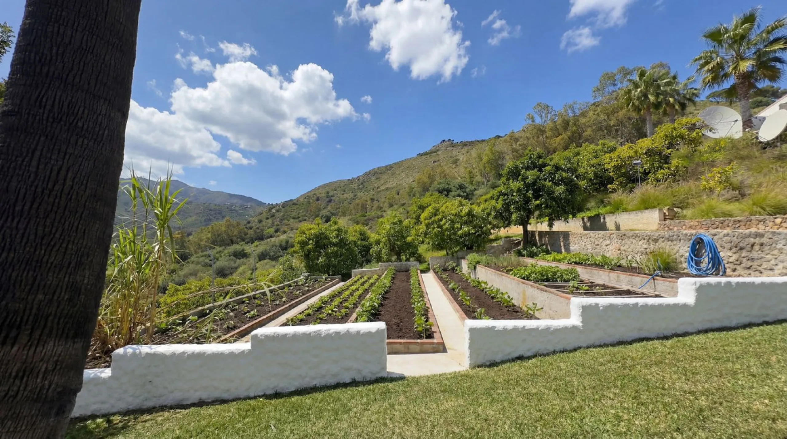 MODERN VILLA BARRANCO BLANCO: AN EXCLUSIVE OASIS OF LUXURY 20 MINUTES FROM THE MEDITERRANEAN SEA