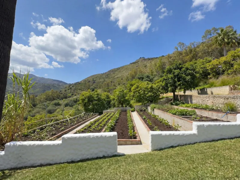 MODERN VILLA BARRANCO BLANCO: AN EXCLUSIVE OASIS OF LUXURY 20 MINUTES FROM THE MEDITERRANEAN SEA