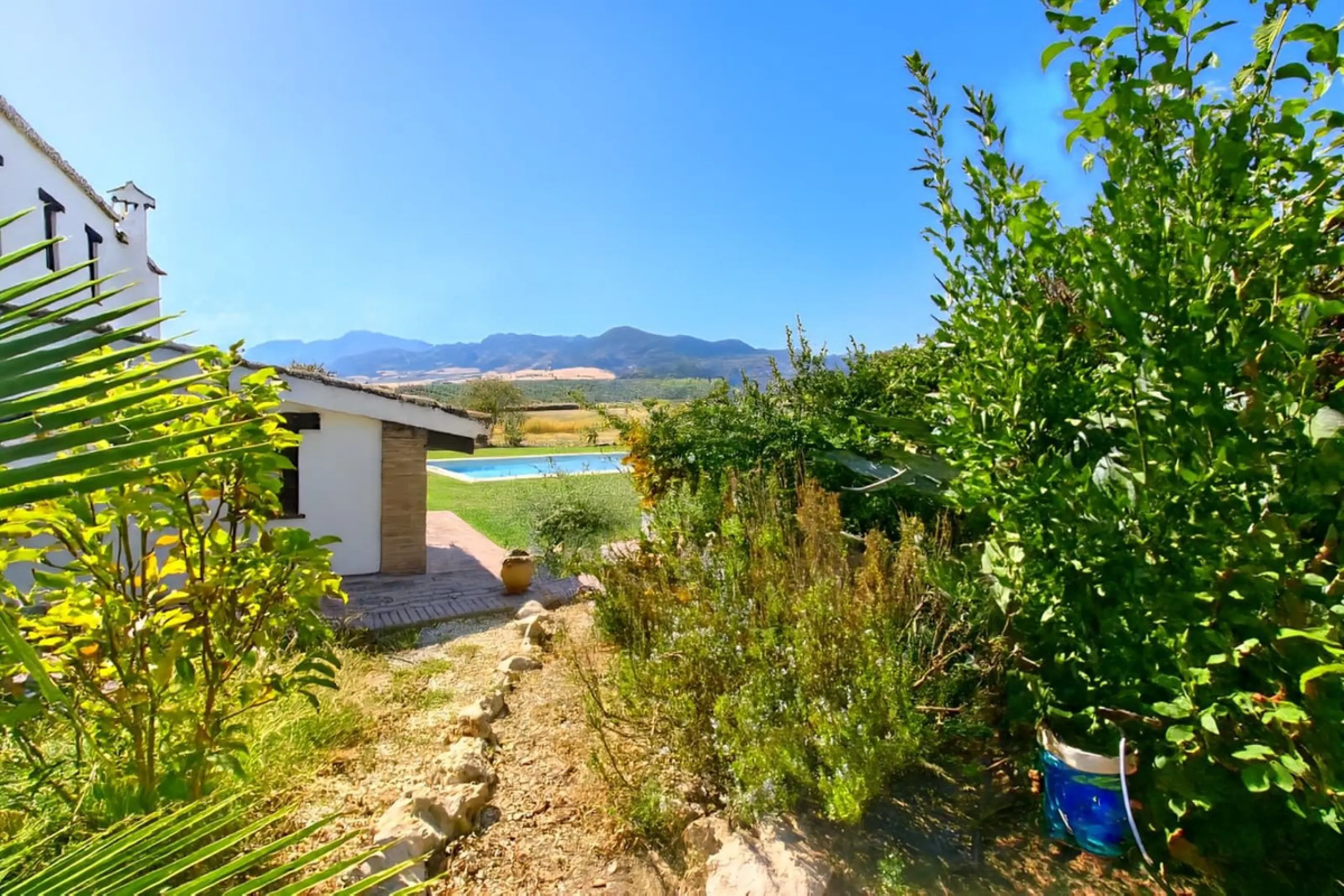 Renovated country house with pool, vineyard & panoramic views – Ronda, Fuente la Higuera