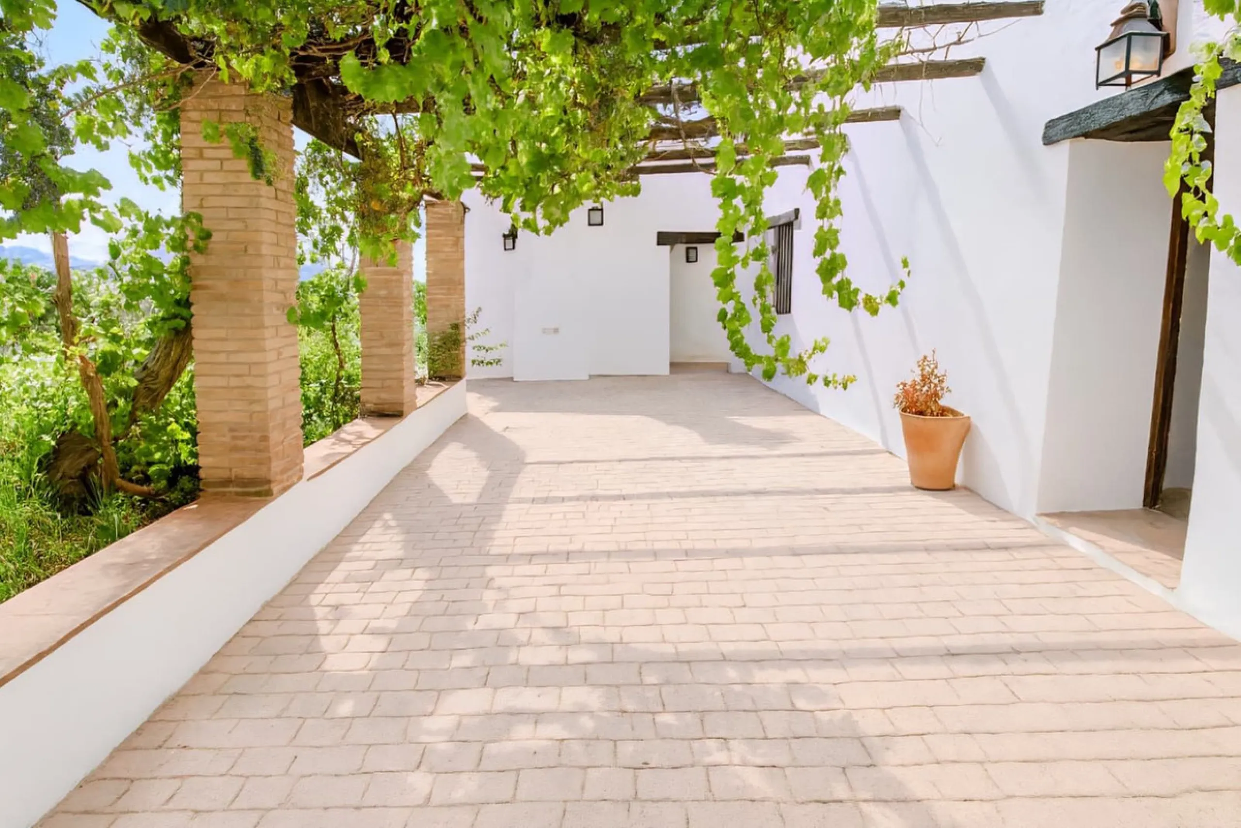 Renovated country house with pool, vineyard & panoramic views – Ronda, Fuente la Higuera
