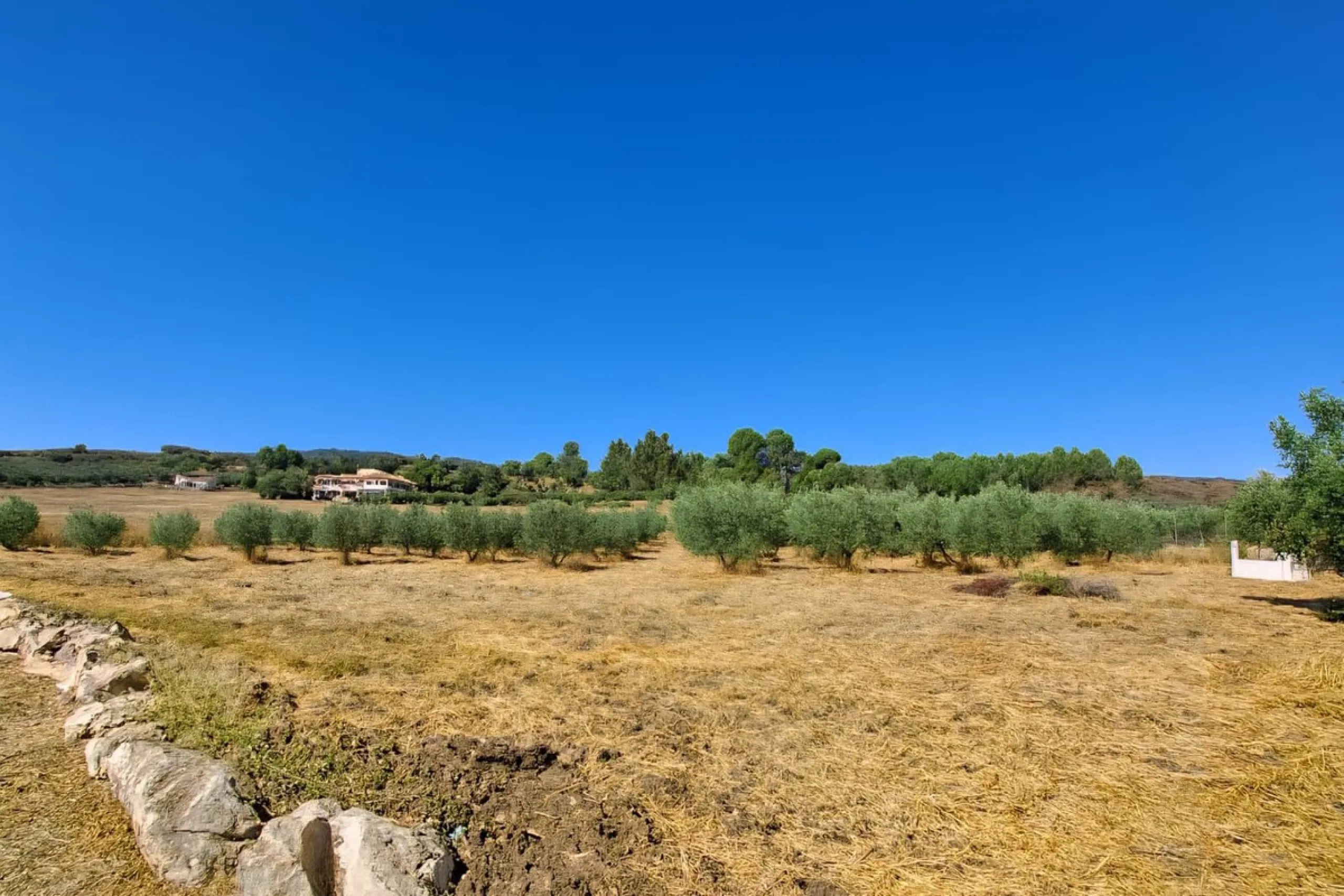 Renovated country house with pool, vineyard & panoramic views – Ronda, Fuente la Higuera