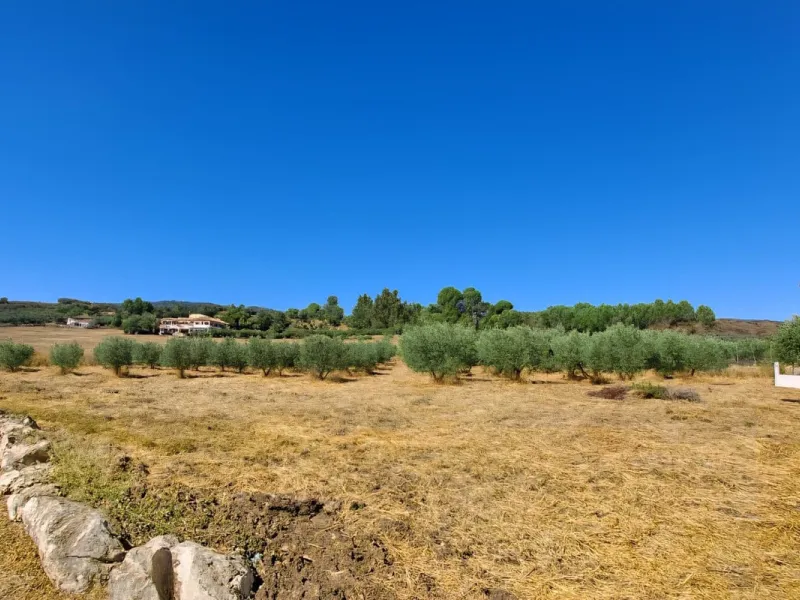 Renovated country house with pool, vineyard & panoramic views – Ronda, Fuente la Higuera