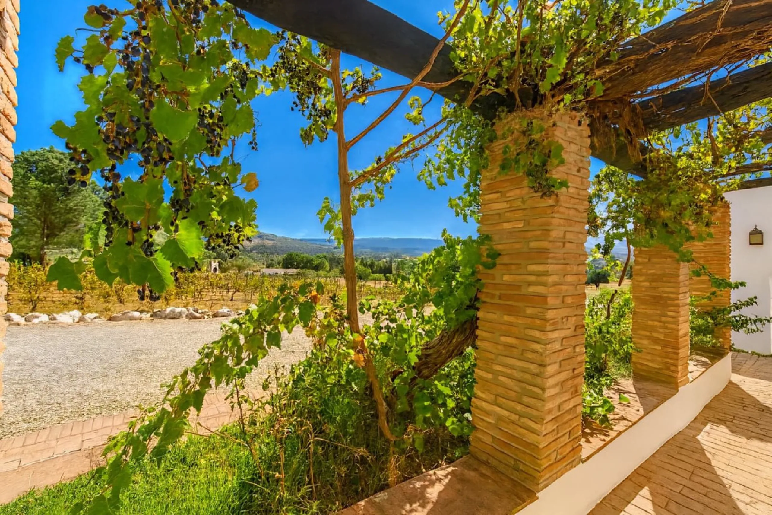 Renovated country house with pool, vineyard & panoramic views – Ronda, Fuente la Higuera
