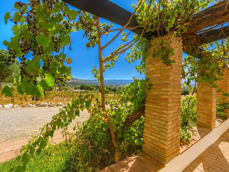 Renovated country house with pool, vineyard & panoramic views – Ronda, Fuente la Higuera