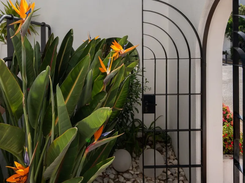 Elegant Beachside Townhouse in Sought-After Costalita