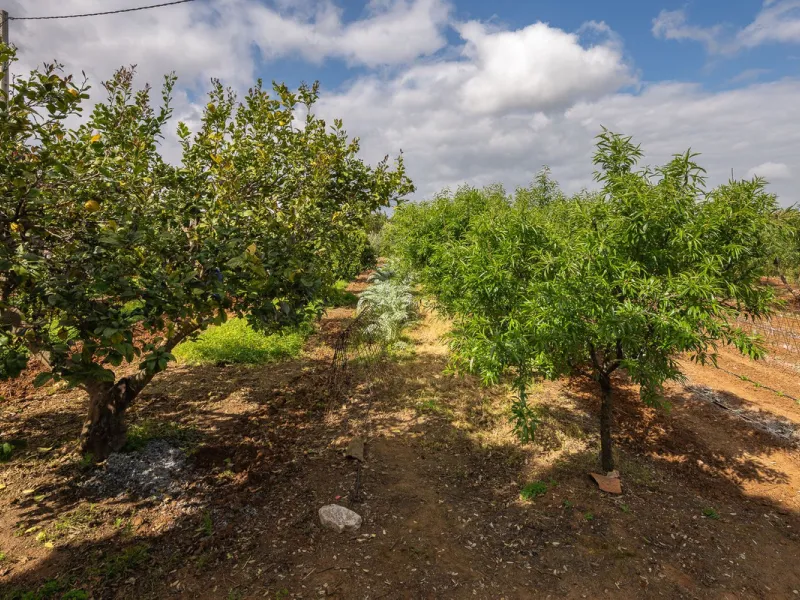An unbeatable 11,000 m2 finca with views of the Alhaurin mountains and just 5 minutes from Lauro Golf. Within its perimeter there is a house in one level plus an independent apartment having both properties access from a really spacious cover porch. The m
