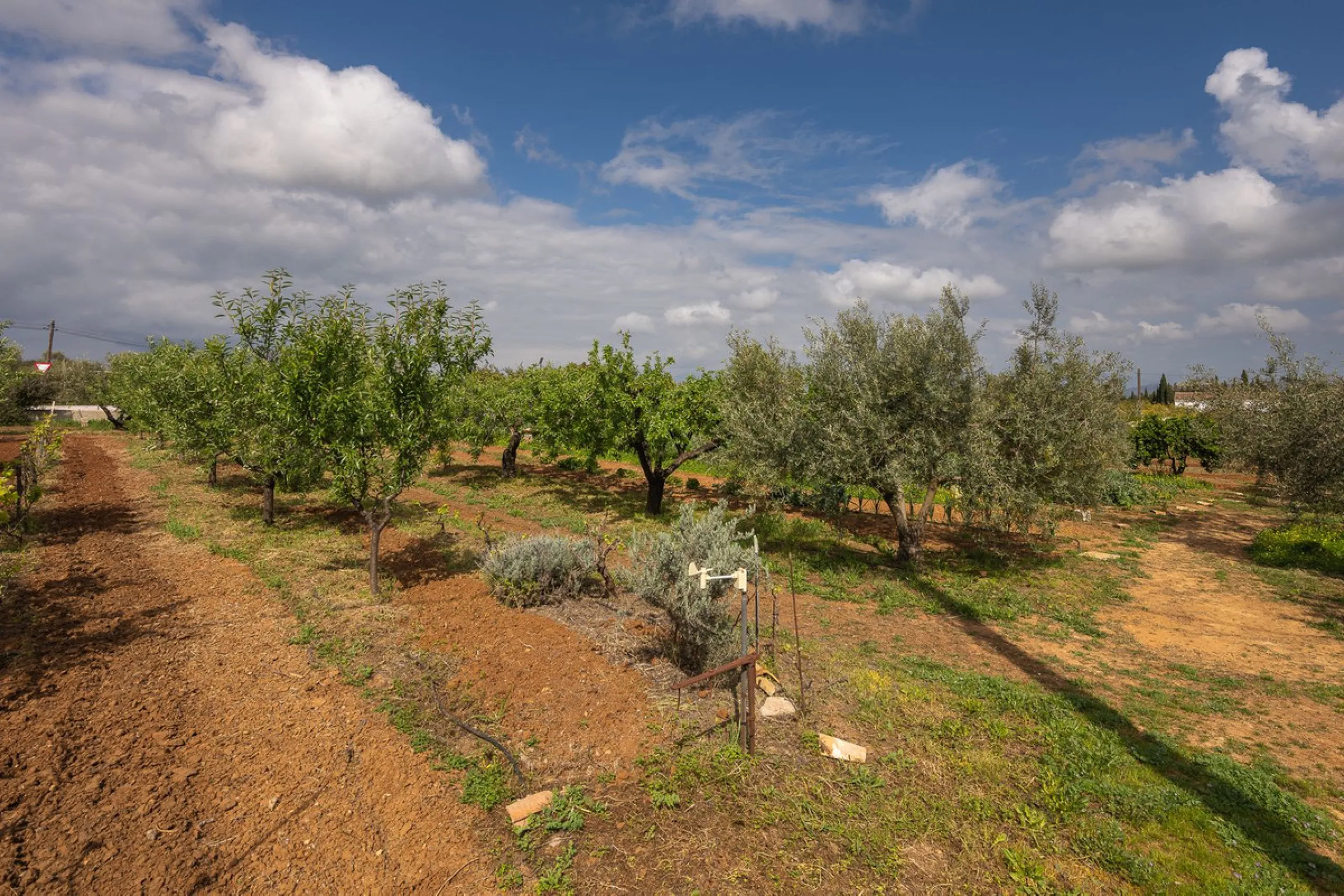 An unbeatable 11,000 m2 finca with views of the Alhaurin mountains and just 5 minutes from Lauro Golf. Within its perimeter there is a house in one level plus an independent apartment having both properties access from a really spacious cover porch. The m