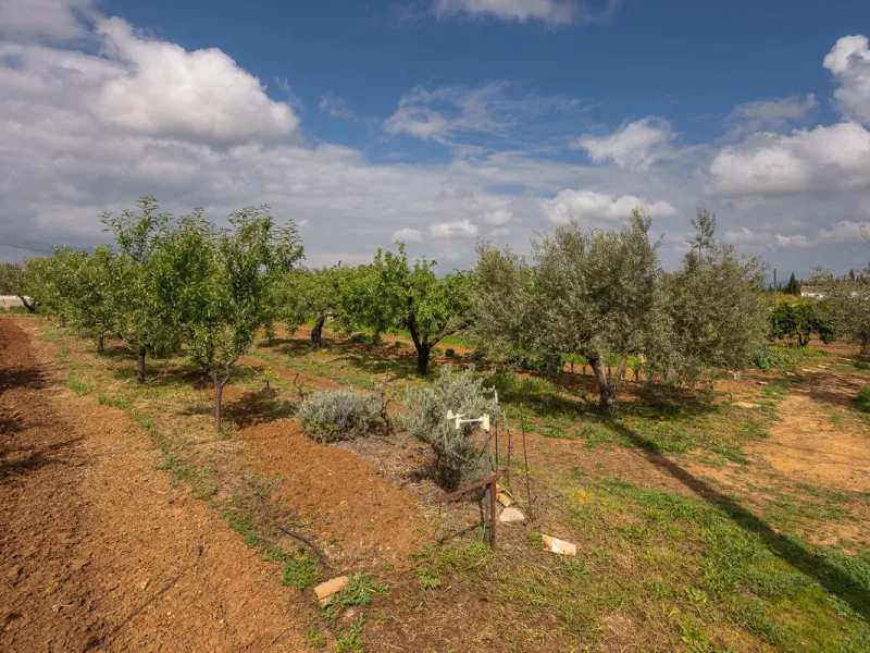 An unbeatable 11,000 m2 finca with views of the Alhaurin mountains and just 5 minutes from Lauro Golf. Within its perimeter there is a house in one level plus an independent apartment having both properties access from a really spacious cover porch. The m