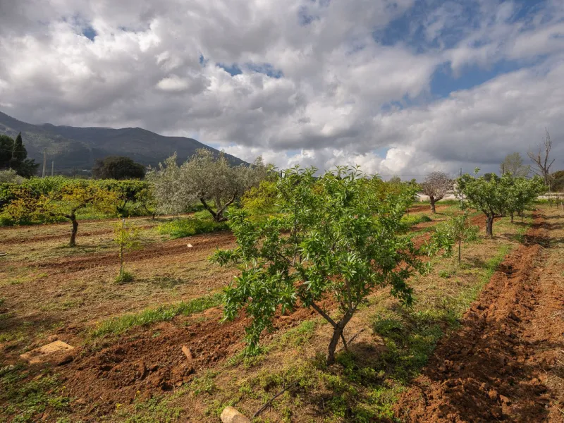 An unbeatable 11,000 m2 finca with views of the Alhaurin mountains and just 5 minutes from Lauro Golf. Within its perimeter there is a house in one level plus an independent apartment having both properties access from a really spacious cover porch. The m