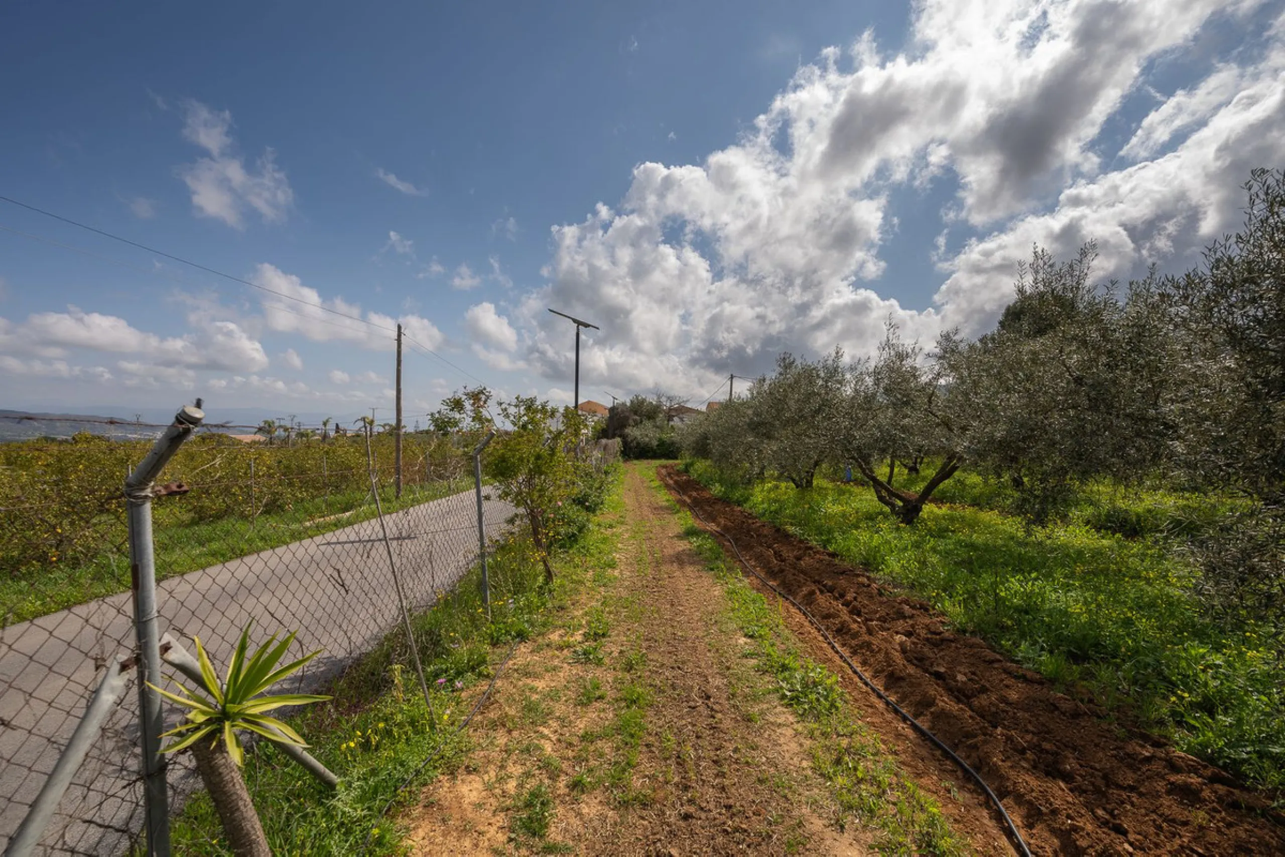 An unbeatable 11,000 m2 finca with views of the Alhaurin mountains and just 5 minutes from Lauro Golf. Within its perimeter there is a house in one level plus an independent apartment having both properties access from a really spacious cover porch. The m