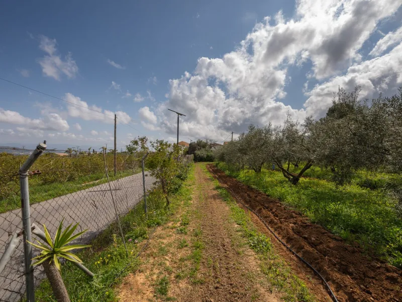 An unbeatable 11,000 m2 finca with views of the Alhaurin mountains and just 5 minutes from Lauro Golf. Within its perimeter there is a house in one level plus an independent apartment having both properties access from a really spacious cover porch. The m