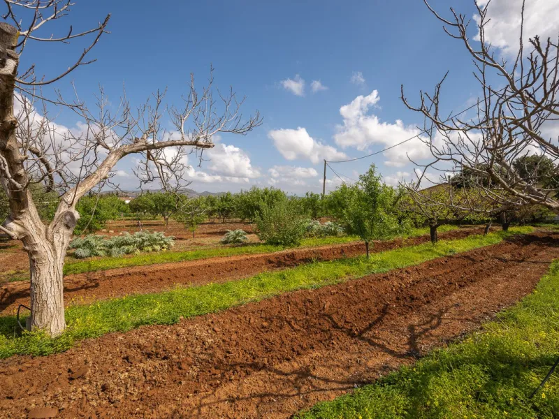 An unbeatable 11,000 m2 finca with views of the Alhaurin mountains and just 5 minutes from Lauro Golf. Within its perimeter there is a house in one level plus an independent apartment having both properties access from a really spacious cover porch. The m