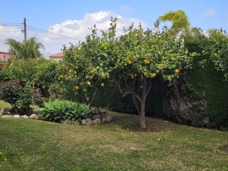 Completely renovated single-story villa in Los Manantiales, Alhaurín de la Torre.