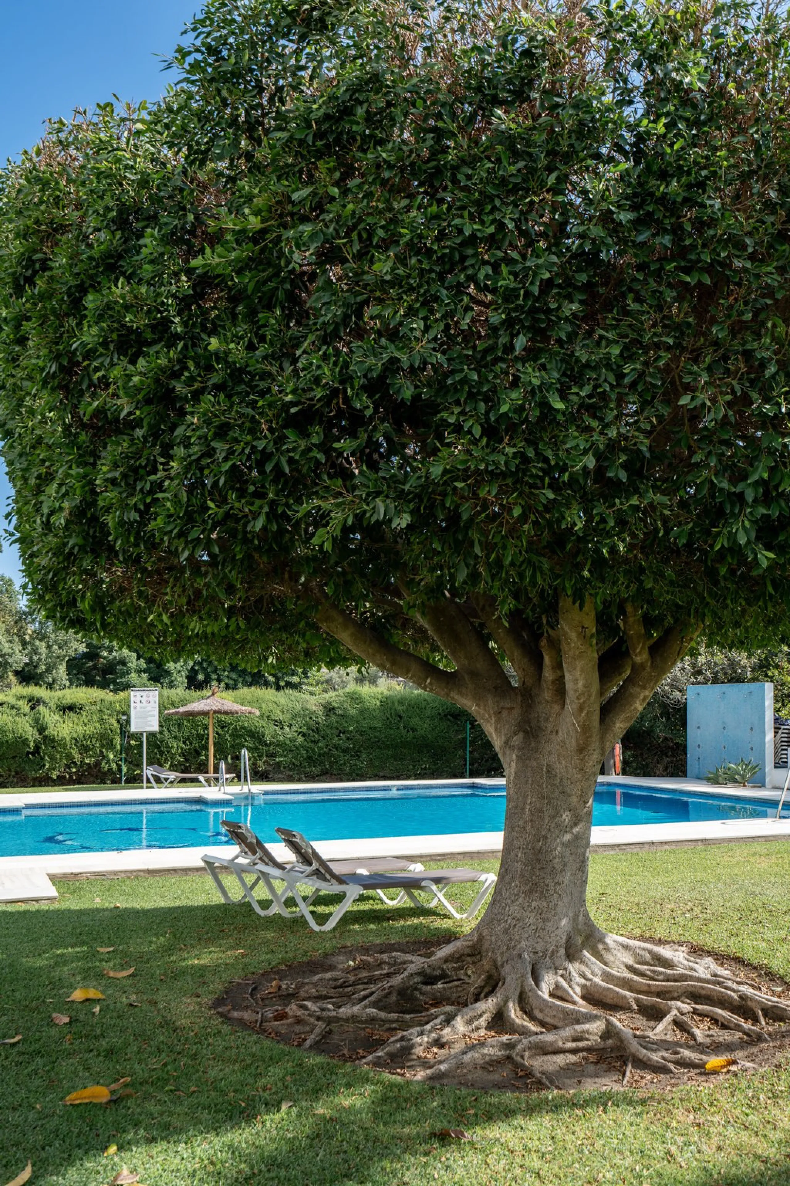 Apartment - Middle Floor Apartment в продаже в Marbella, Málaga. В доме 2 спален и 2 ванных комнат. Площадь дома 155 м²