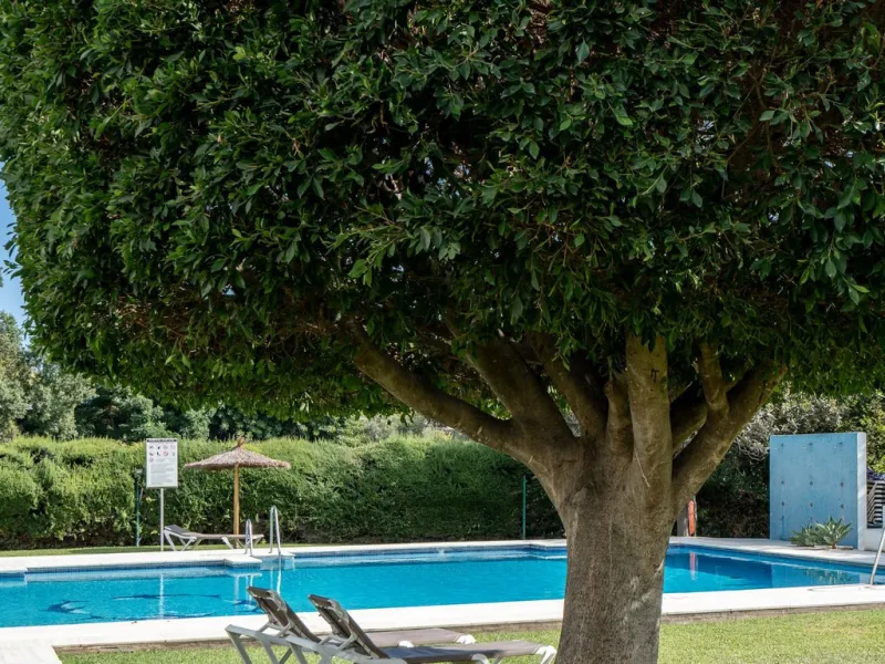 Apartment - Middle Floor Apartment в продаже в Marbella, Málaga. В доме 2 спален и 2 ванных комнат. Площадь дома 155 м²