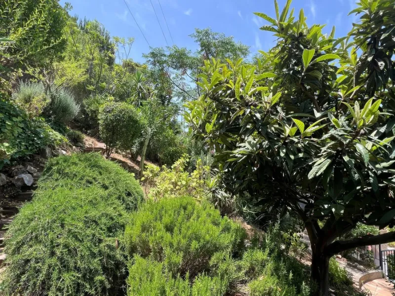 Charming townhouse with panoramic views over the Guadalhorce Valley. Located on the upper part of Alhaurín El Grande, this magnificent fully renovated village house will charm you with its quality finishes, brightness, and breathtaking views over the Guad
