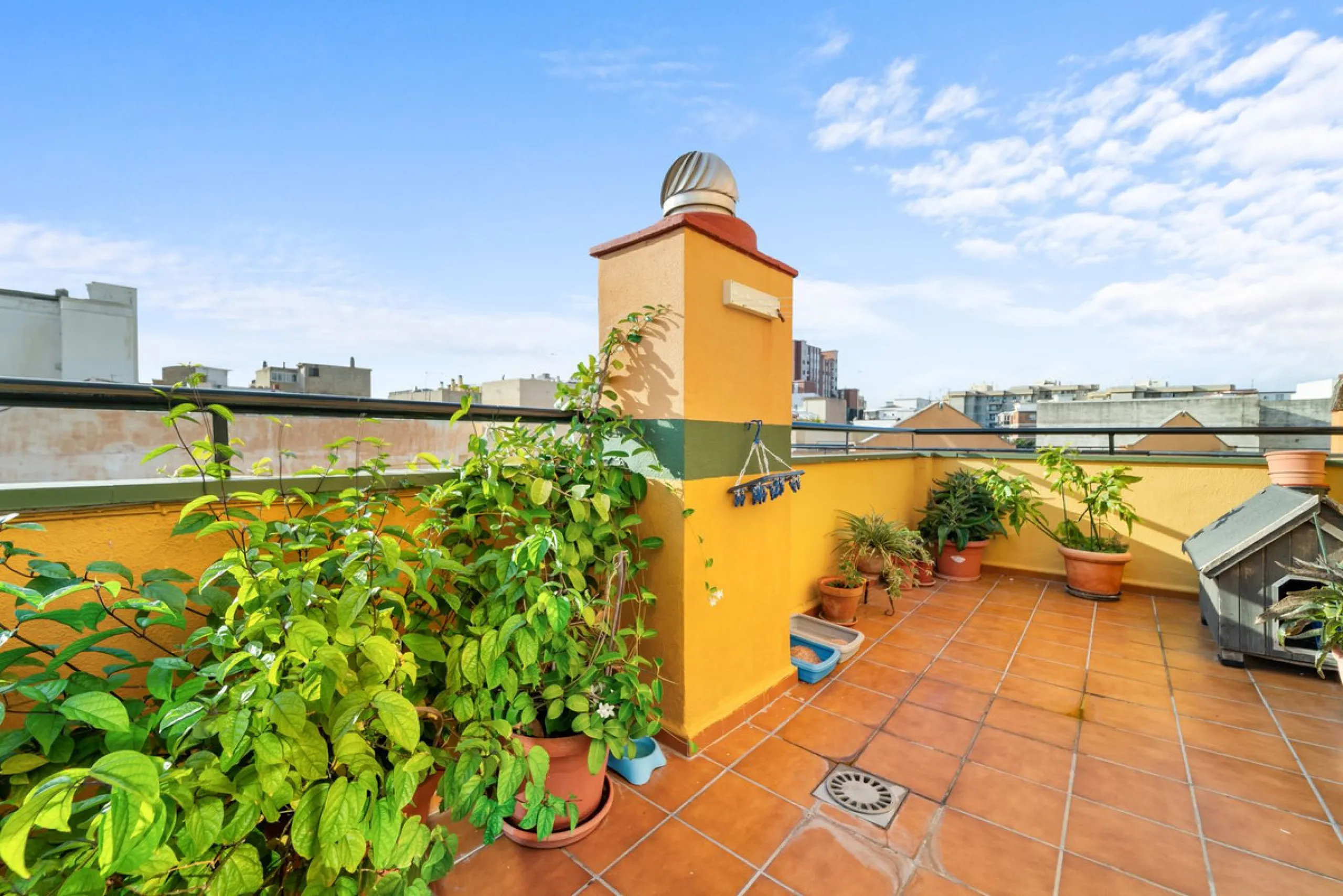Big and cozy apartment in the center of Malaga city just a brisk 7 min walk down to the beach and 30 minutes to the center. This apartment located on the last floor of the building is a duplex with lots of space and natural light. We actually have 2 apart