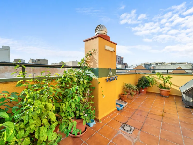 Big and cozy apartment in the center of Malaga city just a brisk 7 min walk down to the beach and 30 minutes to the center. This apartment located on the last floor of the building is a duplex with lots of space and natural light. We actually have 2 apart