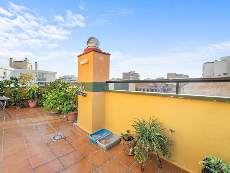 Big and cozy apartment in the center of Malaga city just a brisk 7 min walk down to the beach and 30 minutes to the center. This apartment located on the last floor of the building is a duplex with lots of space and natural light. We actually have 2 apart