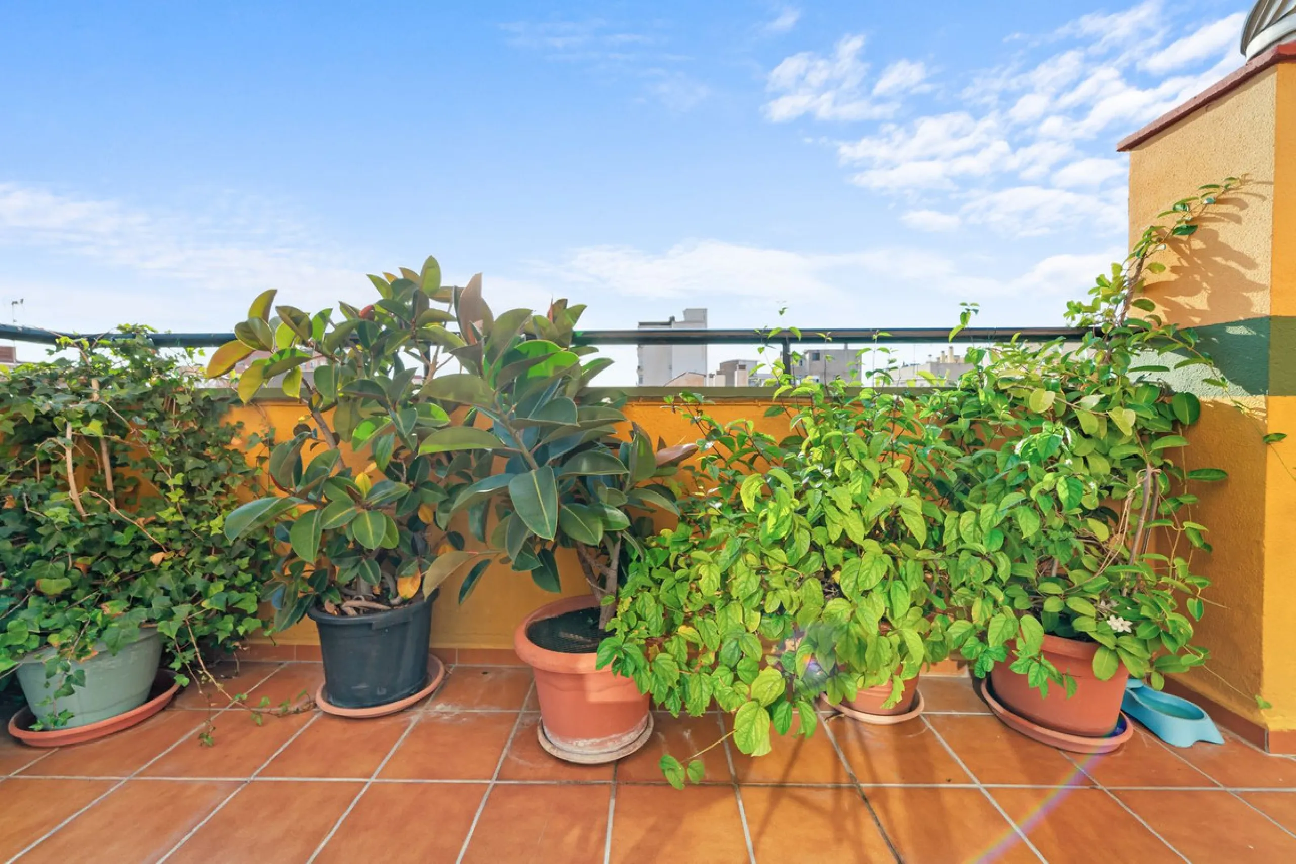 Big and cozy apartment in the center of Malaga city just a brisk 7 min walk down to the beach and 30 minutes to the center. This apartment located on the last floor of the building is a duplex with lots of space and natural light. We actually have 2 apart