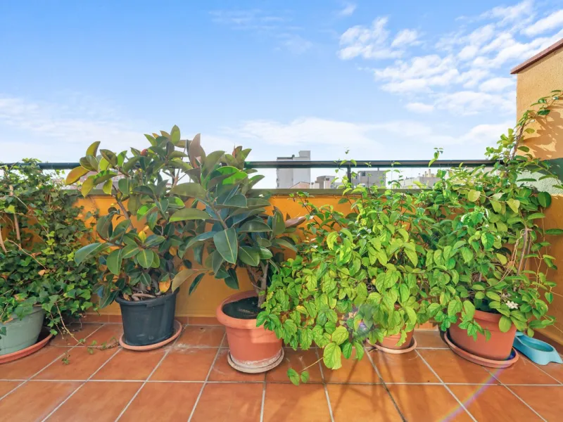 Big and cozy apartment in the center of Malaga city just a brisk 7 min walk down to the beach and 30 minutes to the center. This apartment located on the last floor of the building is a duplex with lots of space and natural light. We actually have 2 apart