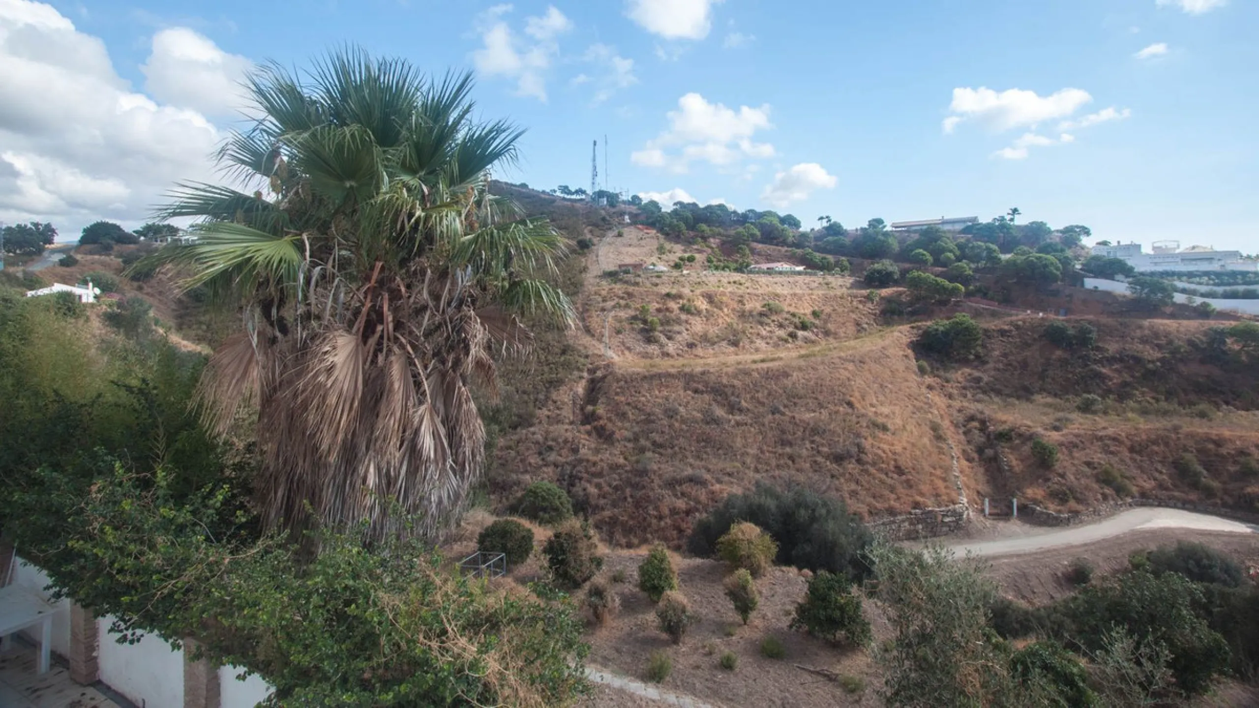 Charming Country Estate with Sea Views for Sale in Los Reales, Estepona – Costa del Sol