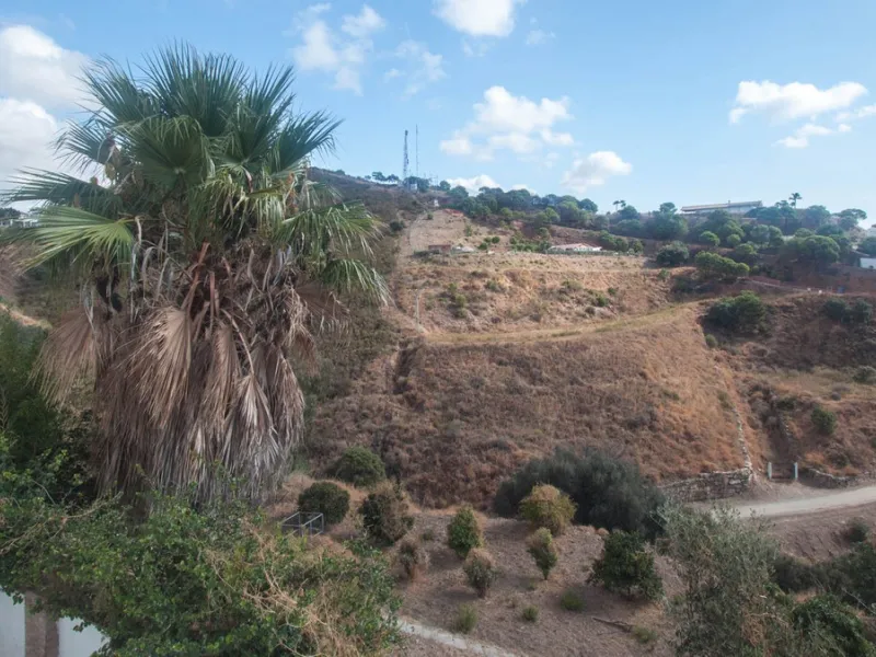 Charming Country Estate with Sea Views for Sale in Los Reales, Estepona – Costa del Sol