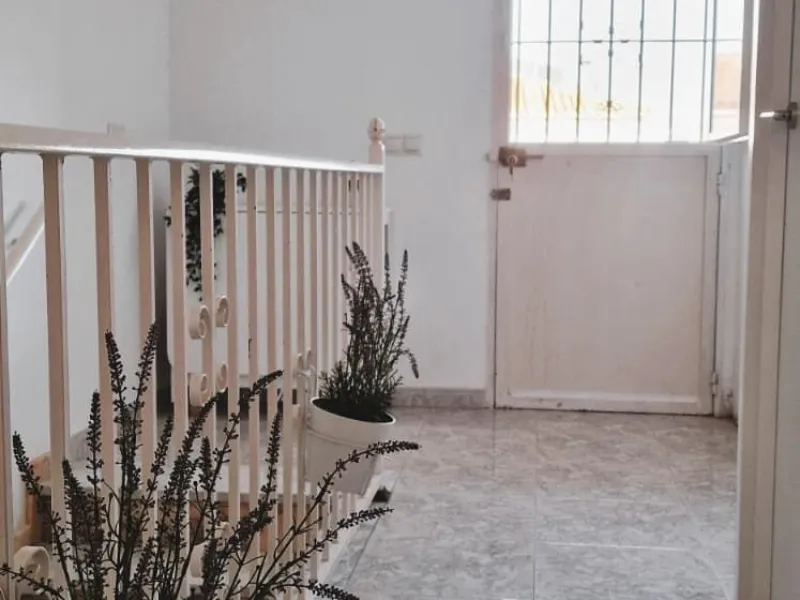 **Recently Renovated Single-Family Home in the Best Area of Town — €335,000