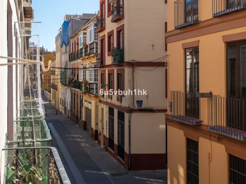 Imagine living in Málaga's historic center, on a wide and quiet street just a stone's throw from Calle Carretería. This apartment has something rare—a feeling of space, privacy, and uplifting light that fills every room. Step out onto any of the three sun