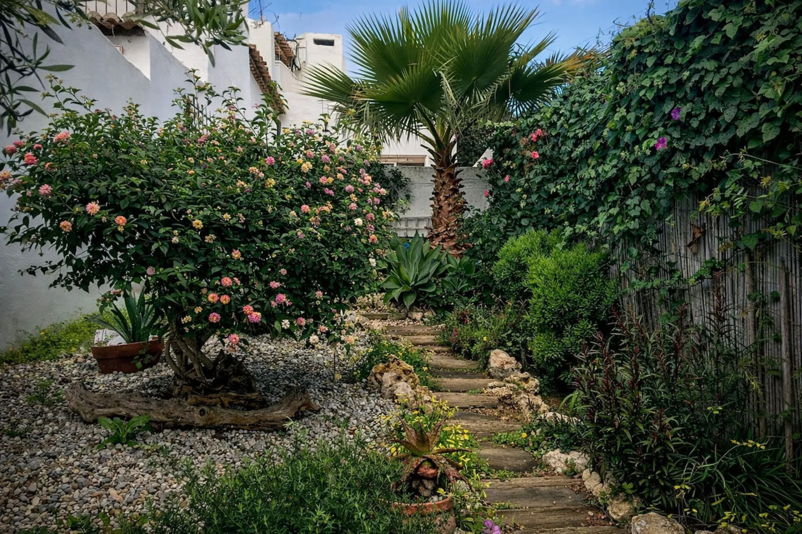 House - Townhouse в продаже в Casares, Málaga. В доме 1 спален и 1 ванных комнат. Площадь дома 82 м². Площадь участка 181 м²