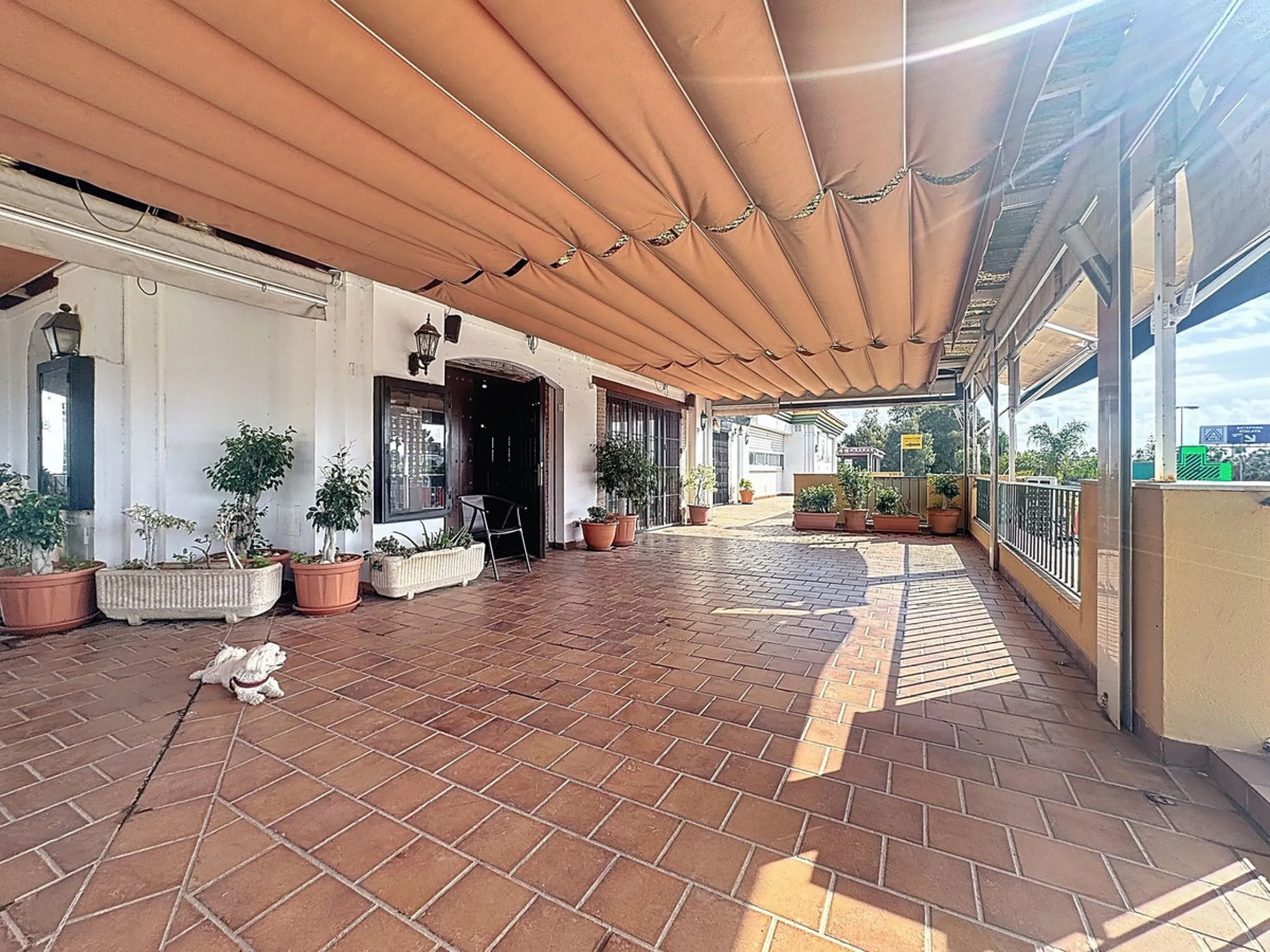 Estaurant with large terrace, active license and prime location