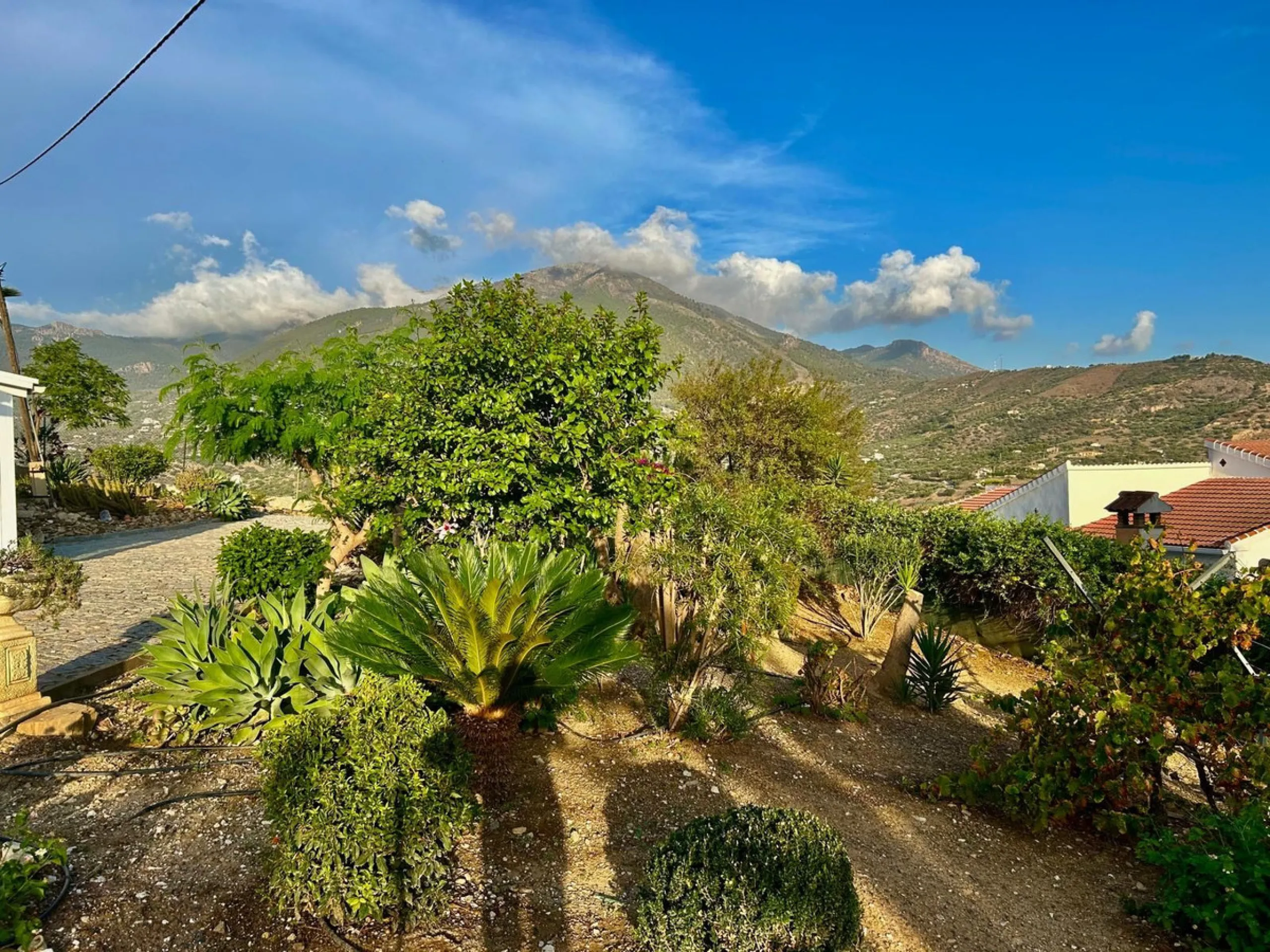 In a setting of peace and nature, just five minutes from all essential services, lies this charming detached house built in 2008. Spread across a single floor with 157 m², the home combines comfort and warmth in every corner.