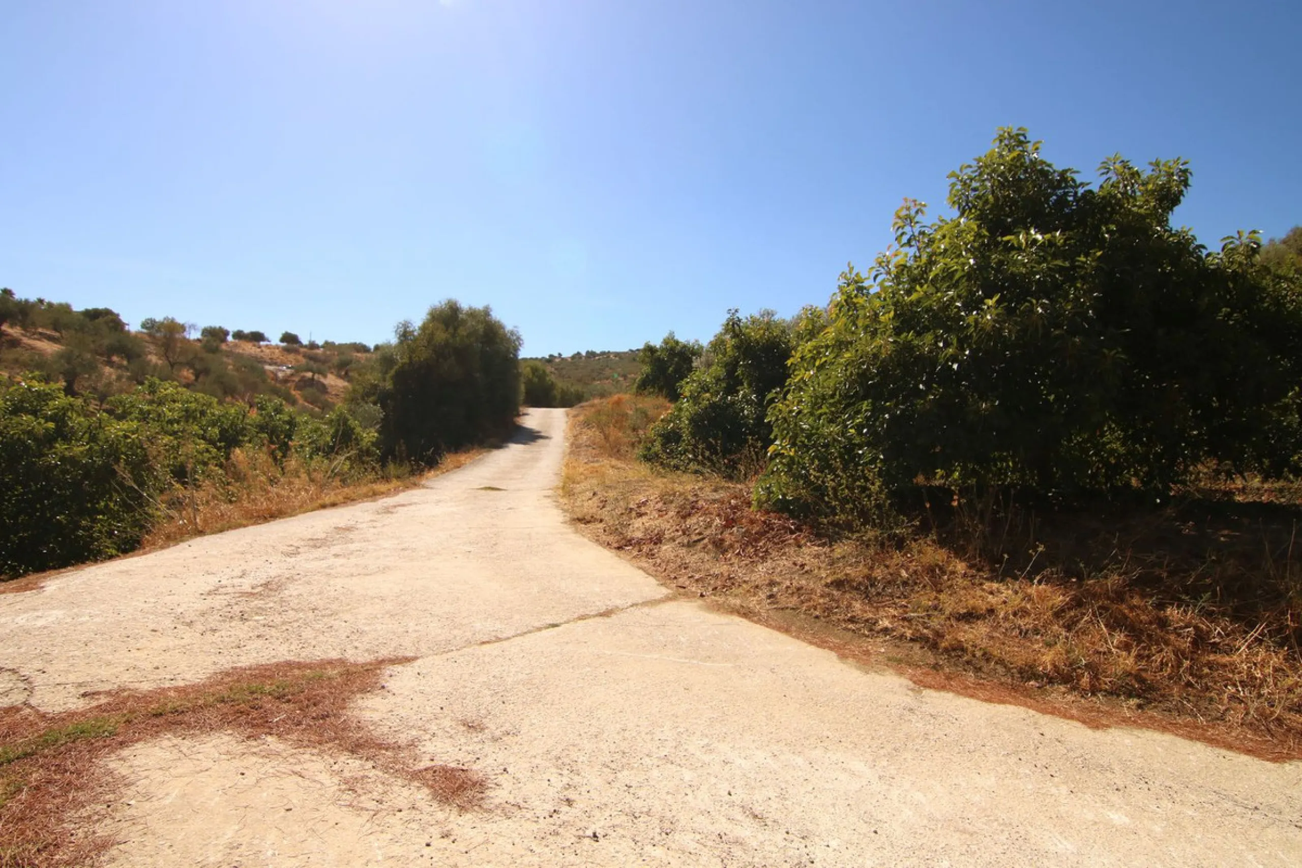 Estate for Sale in Tolox