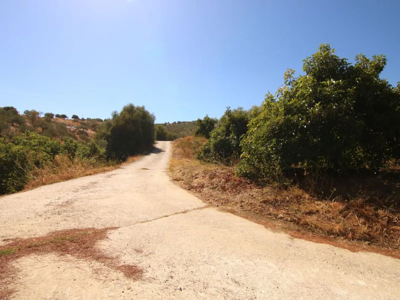 Estate for Sale in Tolox